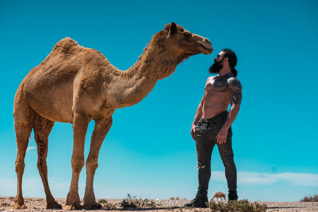 Homme barbu torse nu tatoué face à un dromadaire dans un paysage désertique sous un ciel bleu