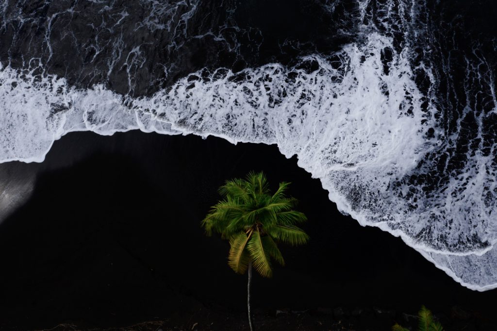 Vue aérienne de vagues blanches sur une plage de sable noir avec un palmier isolé