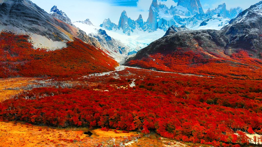 Paysage de Patagonie aux buissons rouge vif au pied des sommets enneigés du Fitz Roy en Argentine