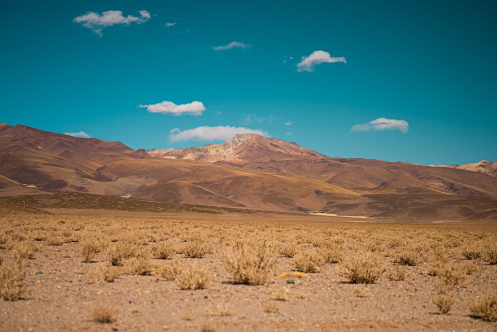 Haut plateau désertique couvert d'herbes sèches face à des montagnes aux teintes brunes